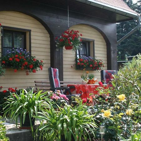 Ferienwohnung Hesse am Wachberg  Saupsdorf Exterior foto
